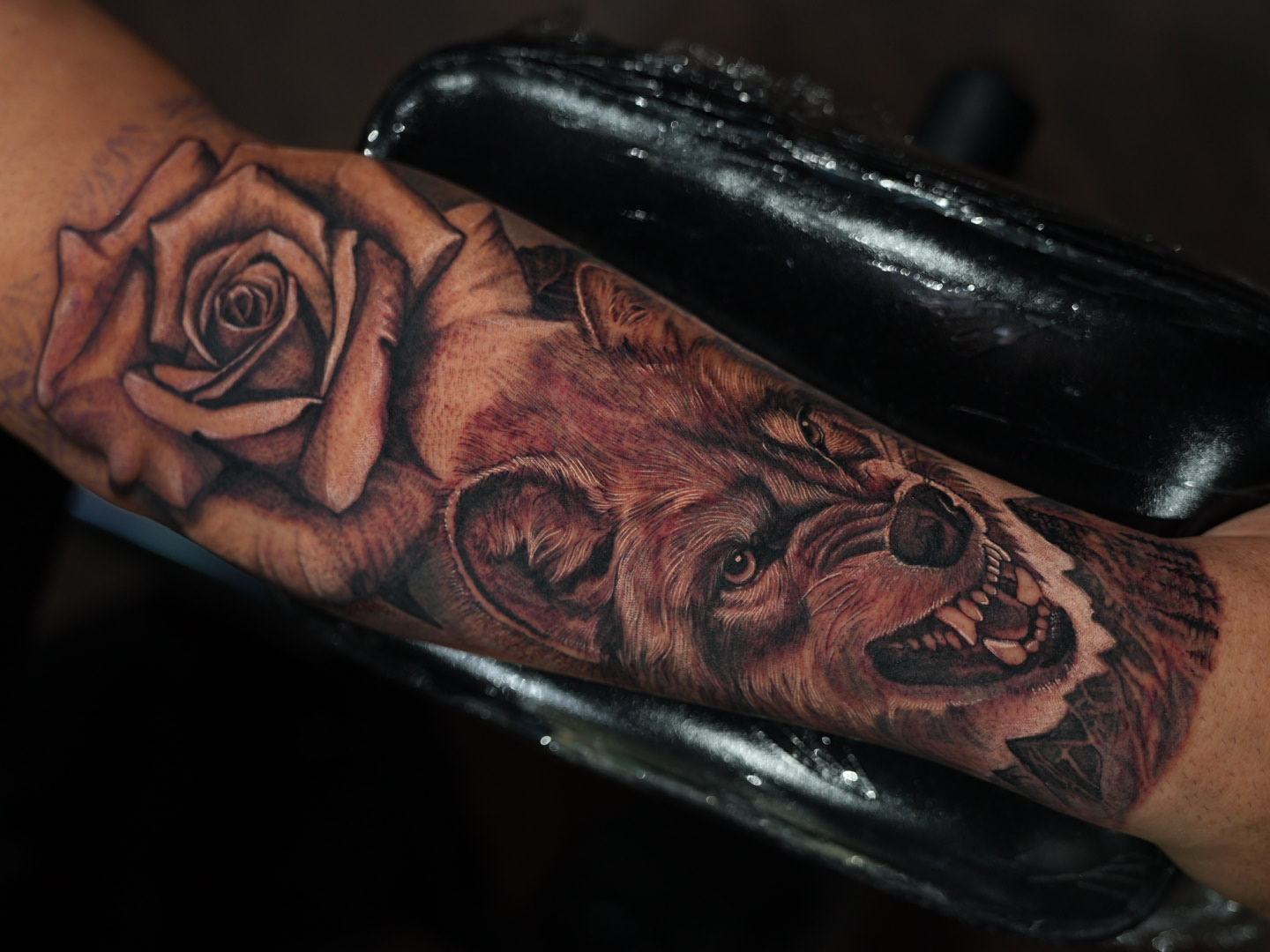 Lobo y rosa — tatuaje black and gray de Kozo